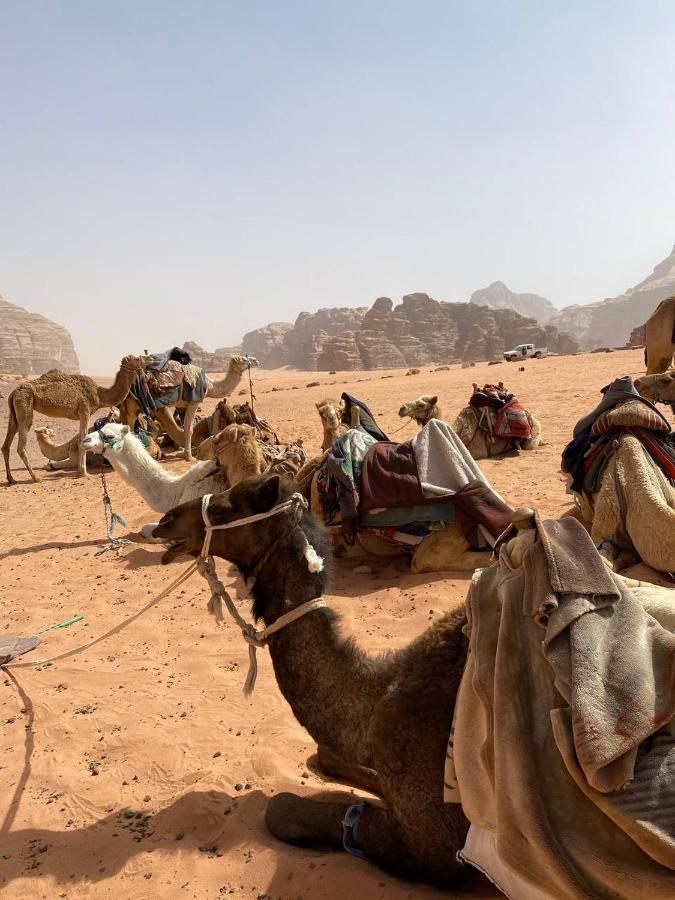 Wadi Rum Maracana Camp Extérieur photo